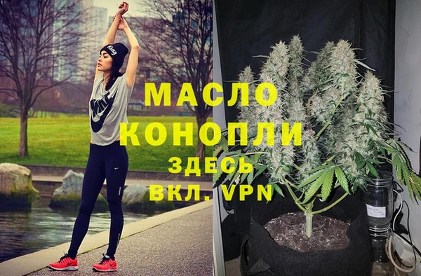 шишки Михайлов