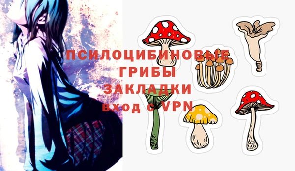 mdpv Медвежьегорск