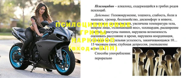 apvp Мегион
