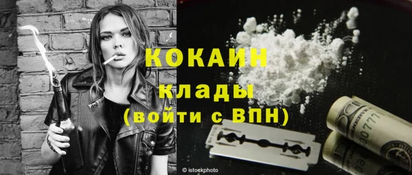 шишки Михайлов