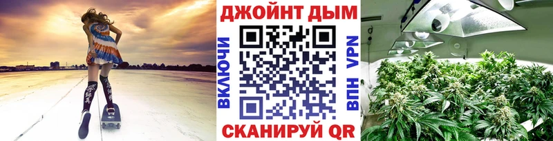 где найти   Щёлково  Каннабис марихуана 